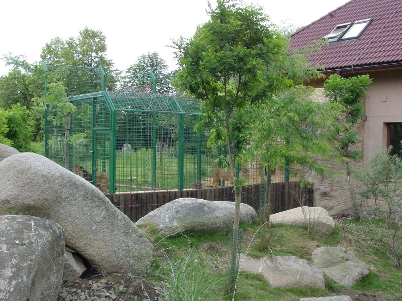 cz_119_zoo_plzen_A.jpg