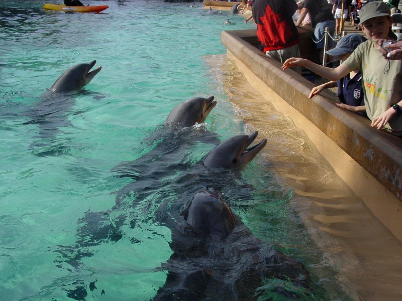 amerika_382_seaworld_A.JPG