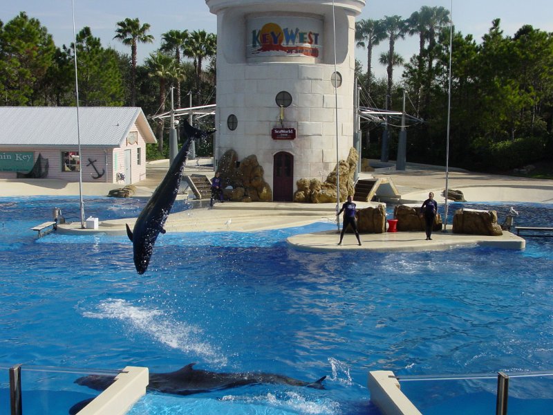 amerika_391_seaworld_A.JPG