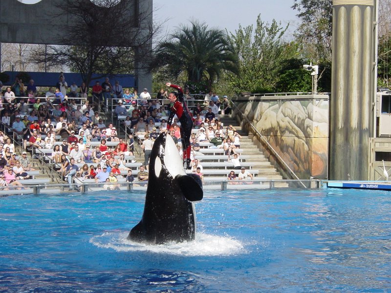 amerika_404_seaworld_A.JPG
