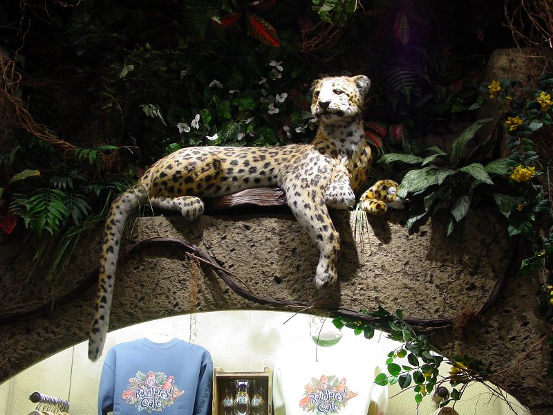 amerika_593_rainforest_cafe_E.JPG