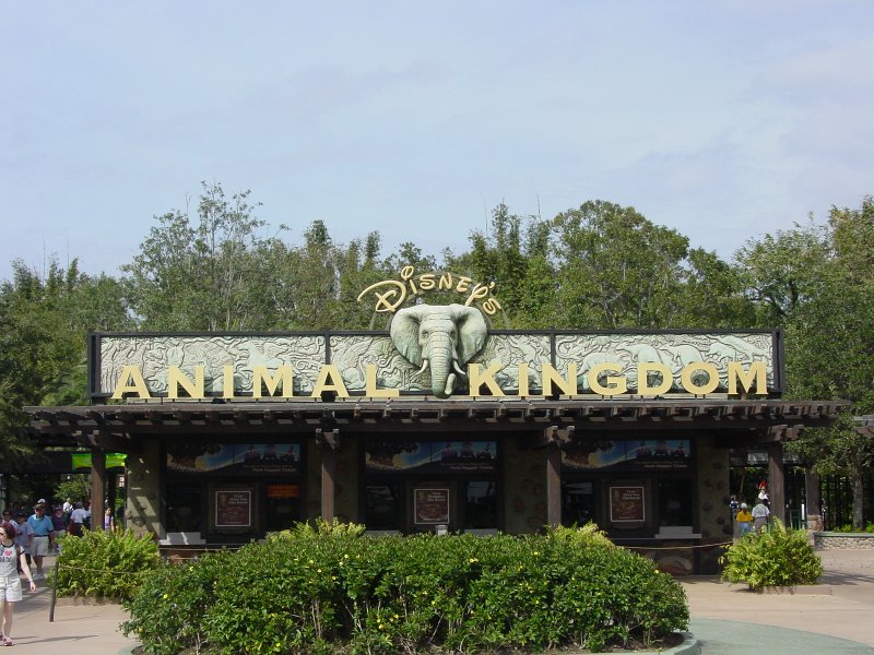 amerika_600_animal_kingdom_E.JPG