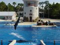 amerika_391_seaworld_A