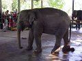 lk_375_pinnawala_olifanten_weeshuis_A