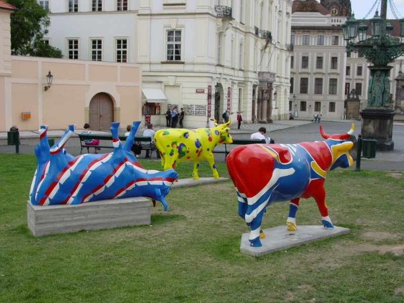 cz_137_praag_koeien_A.JPG