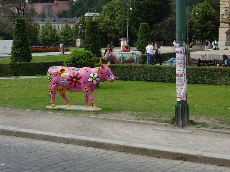 cz_158_praag_koe_A.JPG