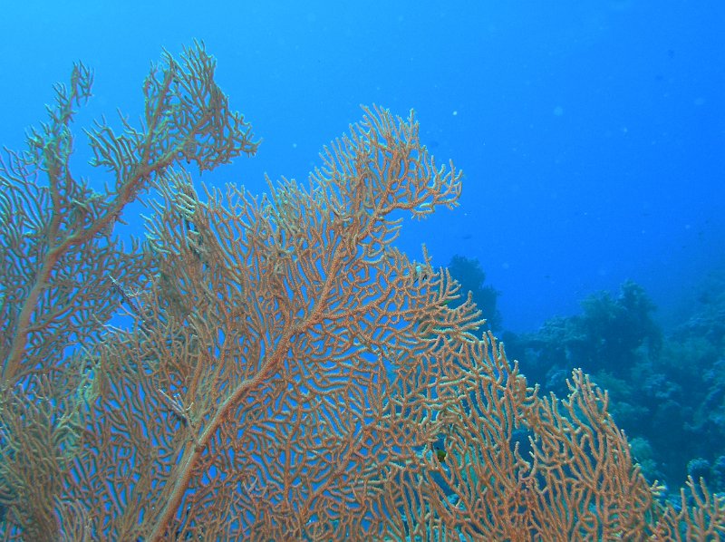 P4080042.JPG - OLYMPUS DIGITAL CAMERA