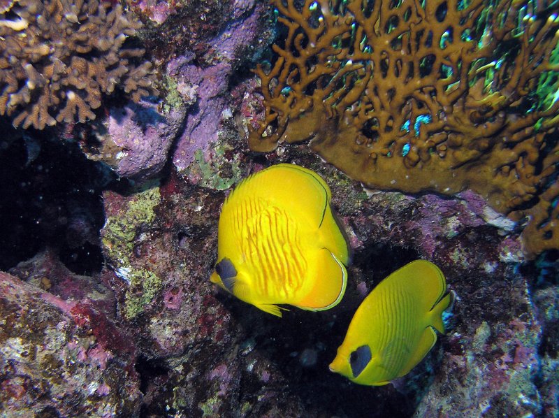 P4080058.JPG - OLYMPUS DIGITAL CAMERA