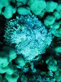 eg_066_taba_A