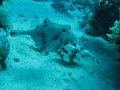 eg_127_taba_A