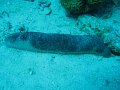 eg_226_taba_A