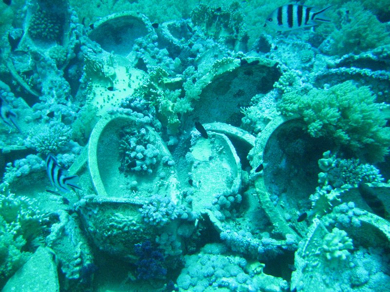 eg_236_sharm_el_sheikh_shark_en_yolanda_reef_A.JPG