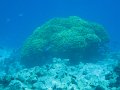 eg_031_sharm_el_sheikh_shark's_bay_A