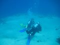 eg_048_sharm_el_sheikh_shark's_bay_A