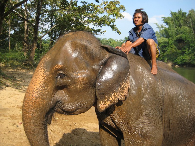 th_302_kanchanaburi_saiyok_olifanten_park_A.JPG