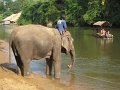 th_300_kanchanaburi_saiyok_olifanten_park_A