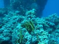 eg_029_hurghada_abu_ramada_eiland_A
