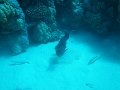 eg_041_hurghada_abu_ramada_eiland_A