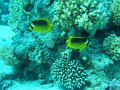 eg_198_hurghada_ras_disha_A