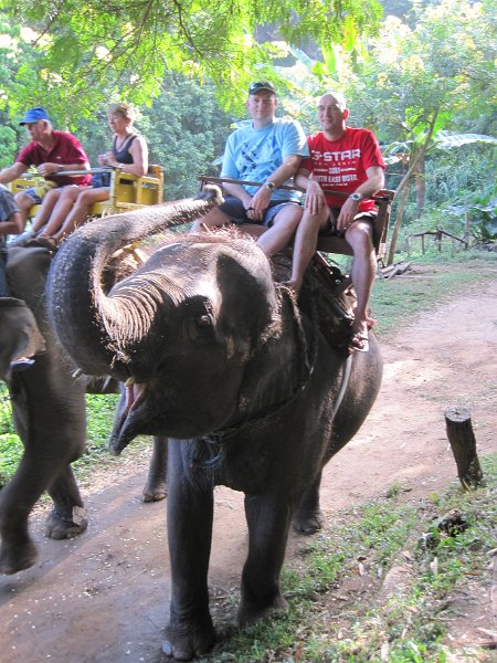 th_2011_350f_chiang_mai_olifanten_kamp.JPG