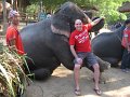 th_2011_361_chiang_mai_olifanten_kamp_A