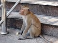 th_2011_542_hua_hin_khao_yoi_cave_A