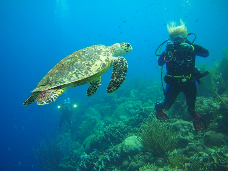 aw_2012_540_klein_curacao_A.JPG