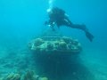 aw_2012_031a_curacao_tug_boot