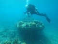 aw_2012_031a_curacao_tug_boot