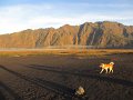 id_2012_520_bromo_vulkaan_A